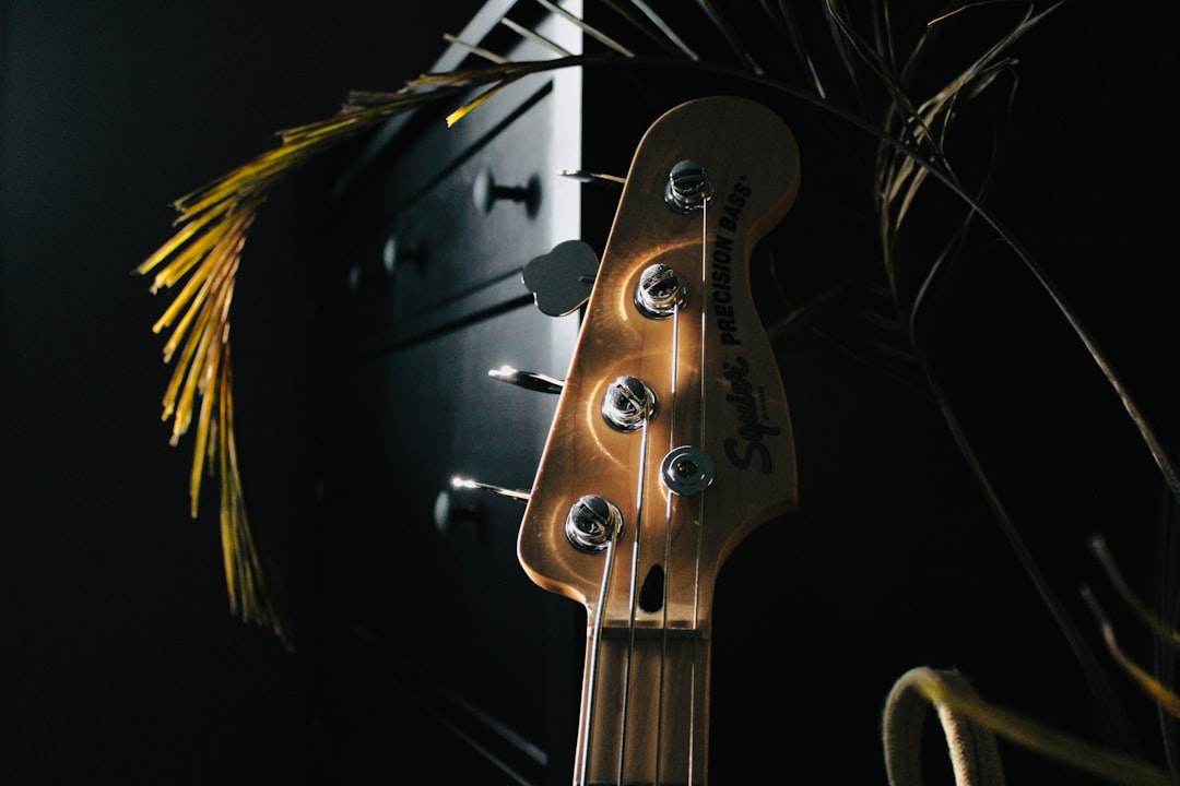 a close up of a guitar with a plant in the background