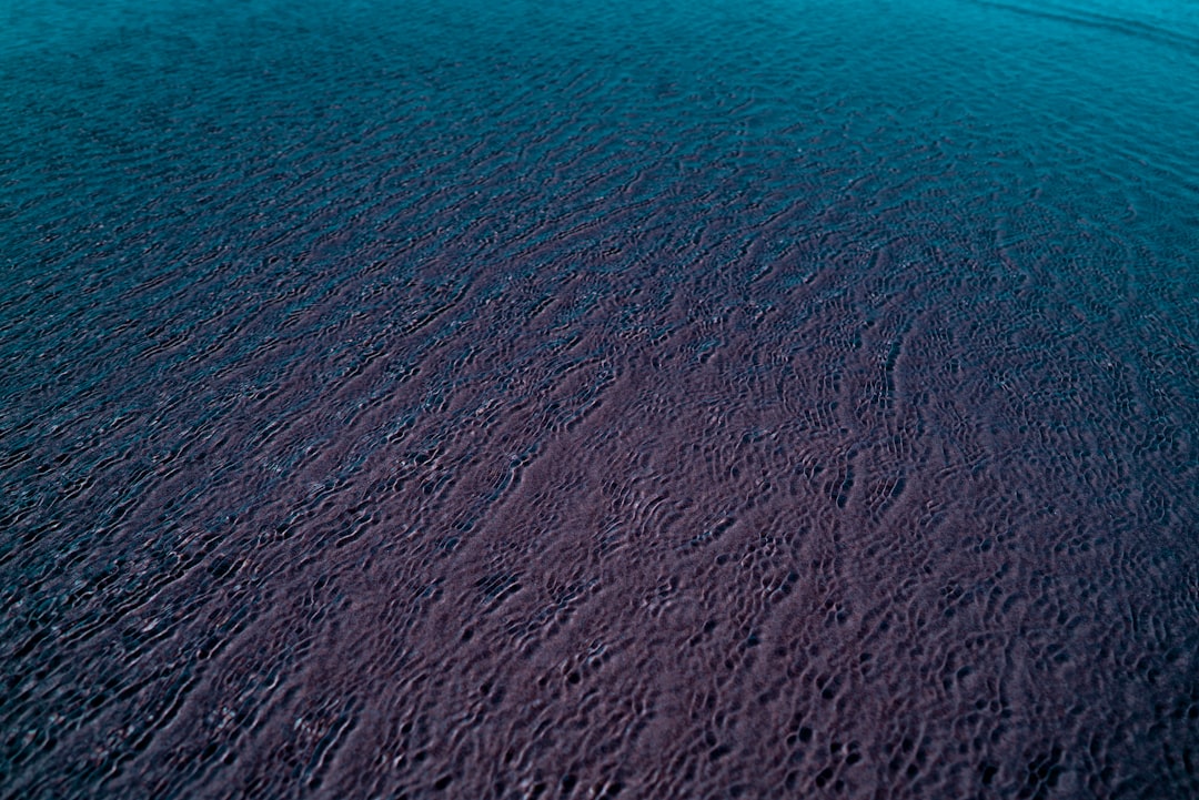 a large body of water sitting next to a sandy beach